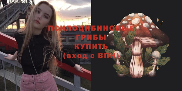соль курить ск Богородицк